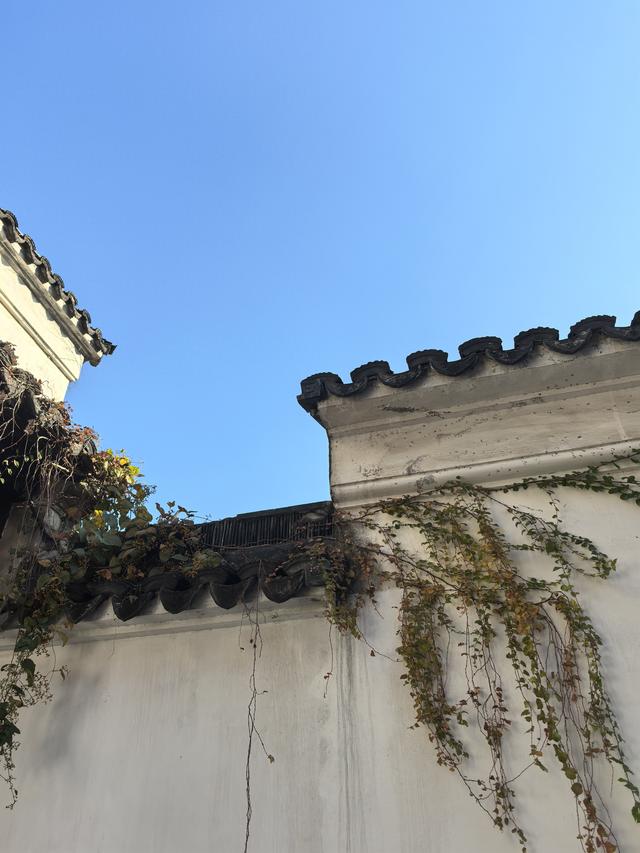 浮世三千吾爱有三什么意思（浮世三千）