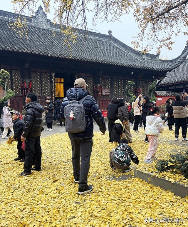 成都市中心最美银杏观赏地，这6处你去过吗？都不要门票！