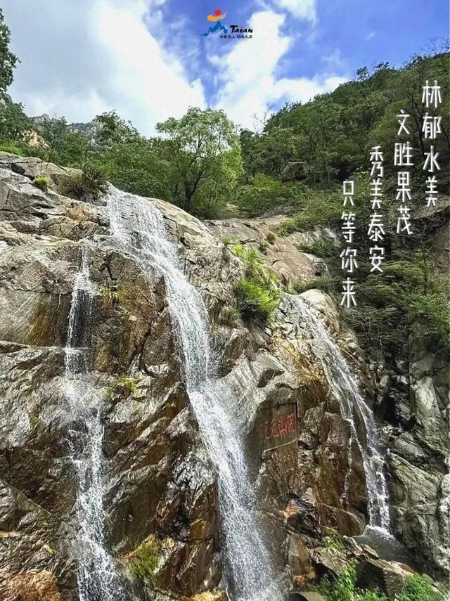 泰山再出神图！8个惊叹瞬间+走心文案超治愈 网友：被戳中，要哭了！