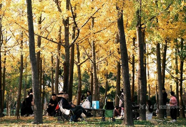 郑州迎来入秋最佳晴日 市民扎堆公园乐享“金色周末”