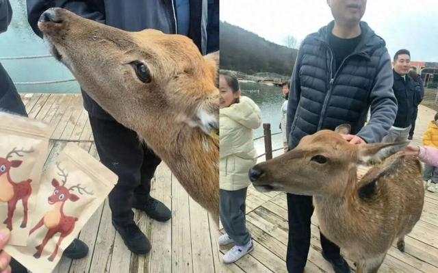 承德文旅冬季旅游十大看点