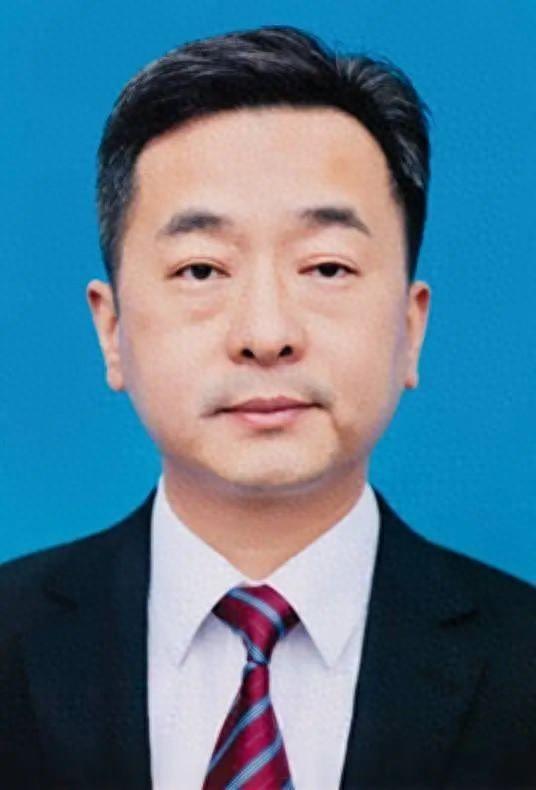 两个省政府领导班子调整