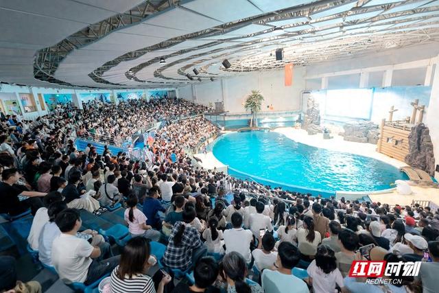 免票、半价！9月，长沙海底世界将推出多项优惠活动