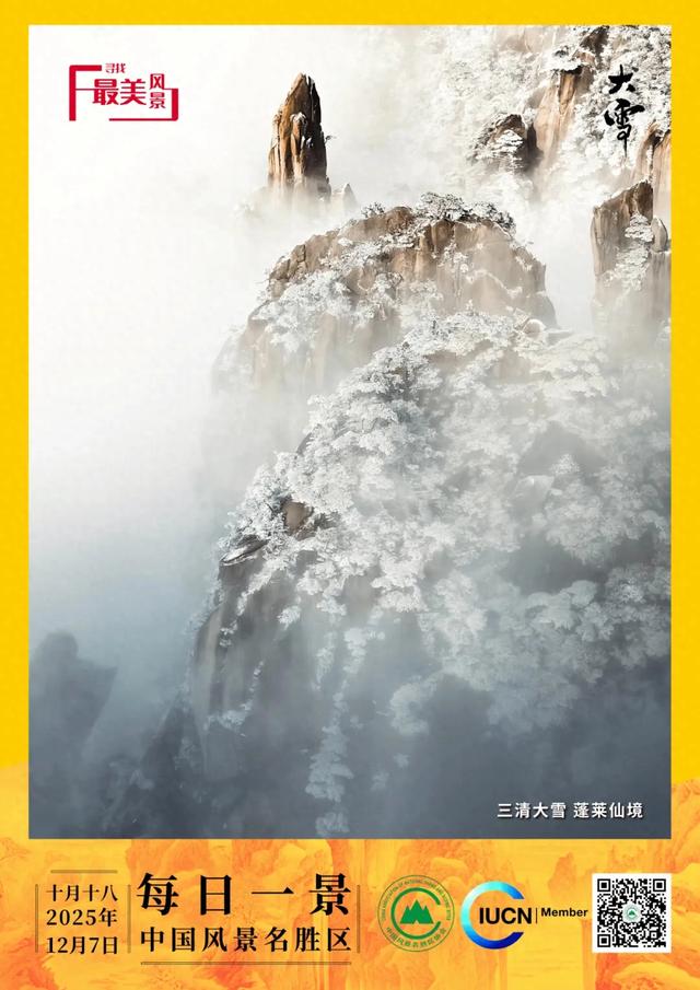 每日一景 | 三清大雪 蓬莱仙境