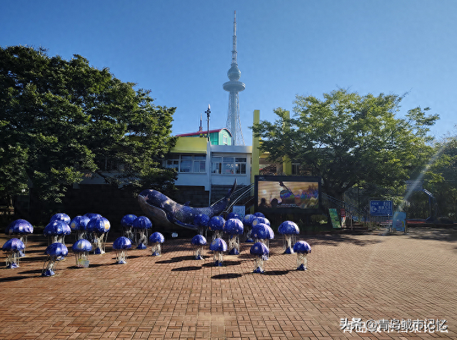 中山公园坐索道的这个地方，日寇曾在此建造大型“忠魂碑”