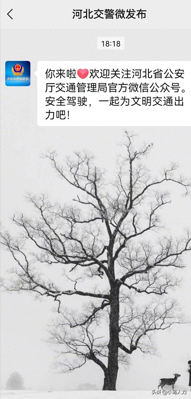下载电车上游戏攻略（秦皇岛市民注意啦）