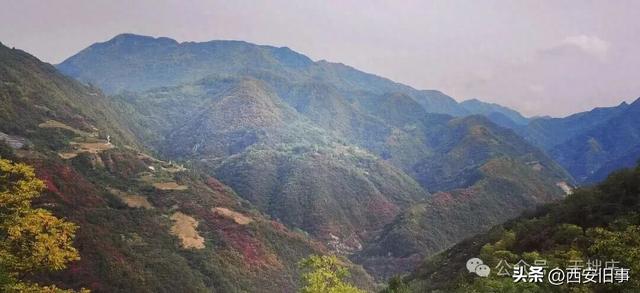 高伟：镇安月西沟之行