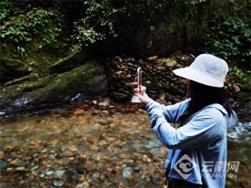 全国媒体达人探秘云南哀牢山 深度体验“与生态共生”旅居新方式