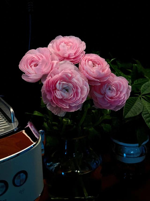 人生最大的遗憾，就是没有了少年心气