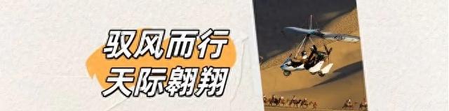 【甘快看】快看！“叶子麻”得很