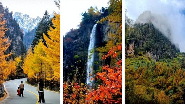 【联动宣传】别再问11月去哪了，来陇南吧！