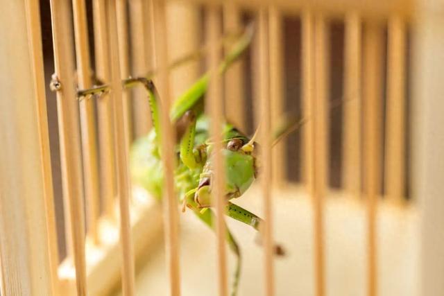 2025年11月2日 第76页