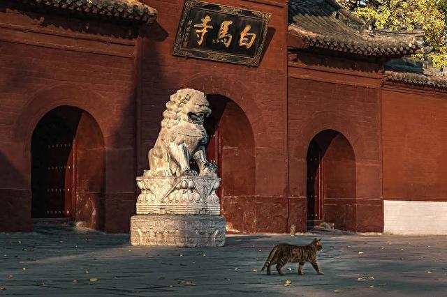 洛阳白马寺走红	，是洛阳最古寺庙，号称中国第一古刹，免费