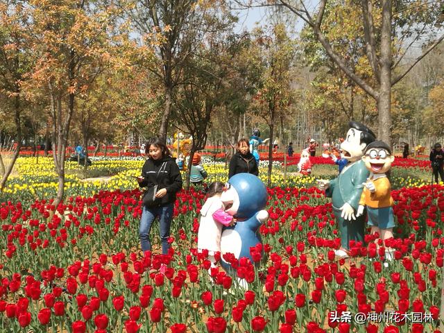 云南首个林下花园：自然与人文交织的生态花园景观杰作