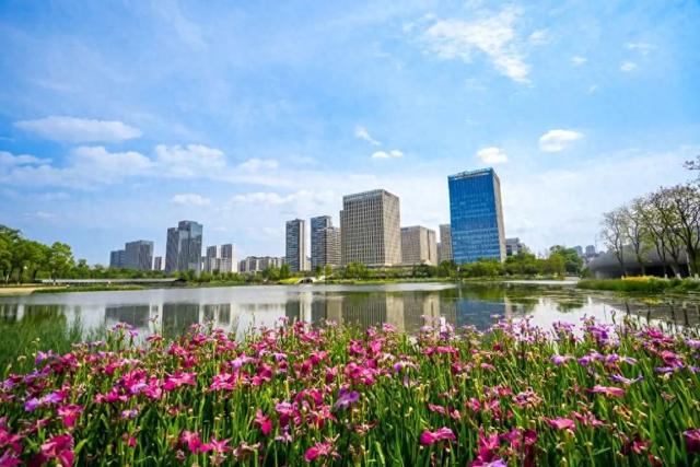 新川将打造人机共融超级场景！期待你的提案→