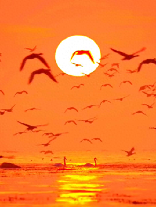 冬日的运城，藏着北方最诗意的浪漫