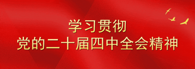 等来了！白河入冬第一场雪，竟藏着这样的景致