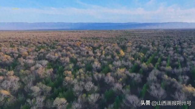 朔城区：去乡间赏秋