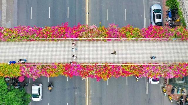 11月的浪漫被TA承包了！南宁“空中花桥”火了，秒变童话世界