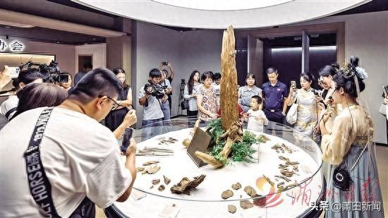仙游沉香博物馆：千年香脉绕古今