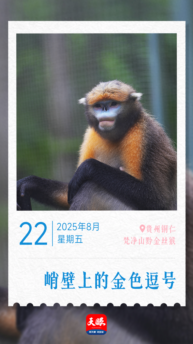 8月22日｜贵州之旅