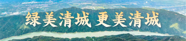 清城芦苇荡：隐藏在城市边缘的秋日童话