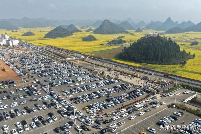 春节邂逅盛花期：罗平旅游人气旺，文旅市场“开门红”