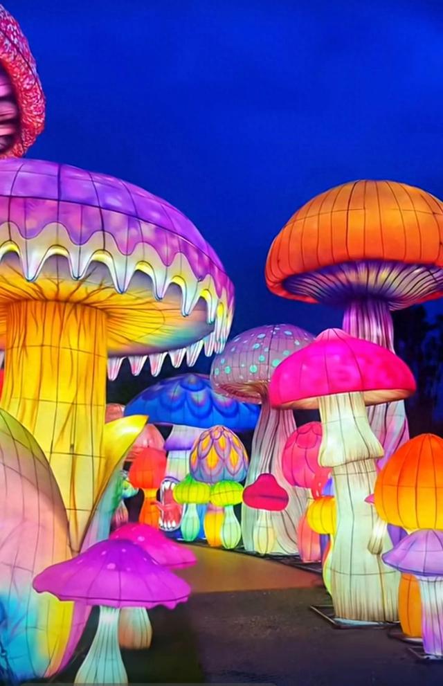 白天吃蘑菇大餐🍄,晚上看大观公园旁的蘑菇灯海