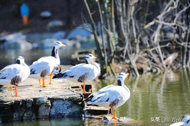 半价游西安！冬日景区福利上线