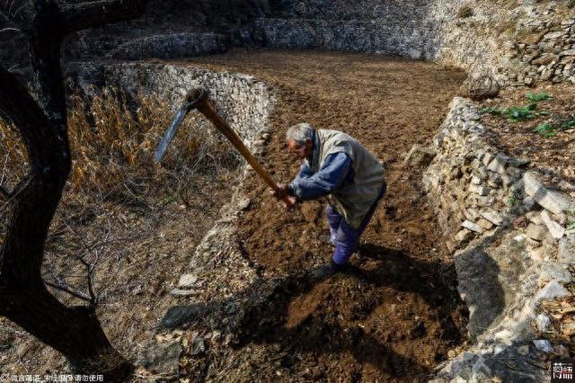 农村一位82周岁老人的心里话