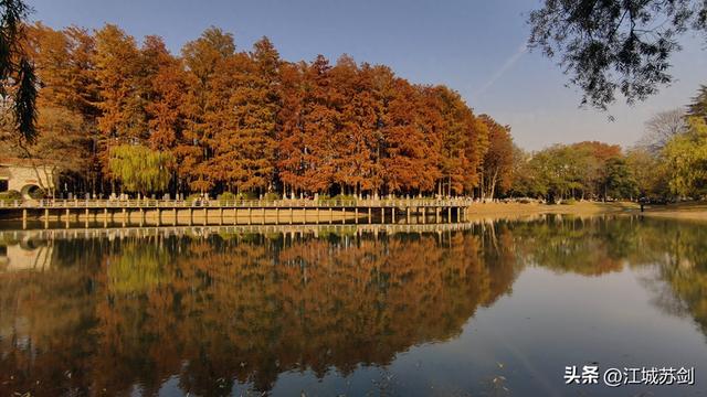 霜影下的城市绯霞