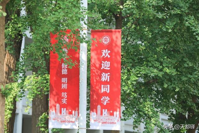 【主题】数智校园新胜景