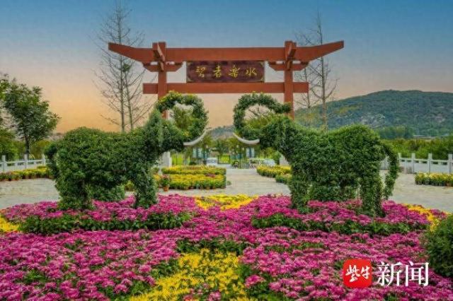 连云港孔望山菊花展启幕 沉浸式游园打造秋日盛宴