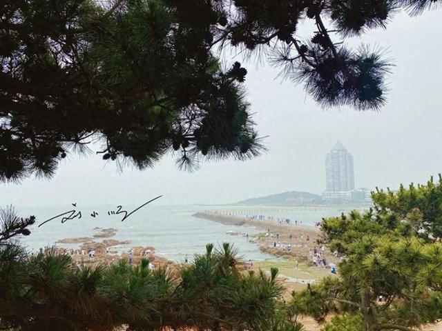 山东“第一城”青岛：既是海滨旅游胜地，GDP更超省会济南？