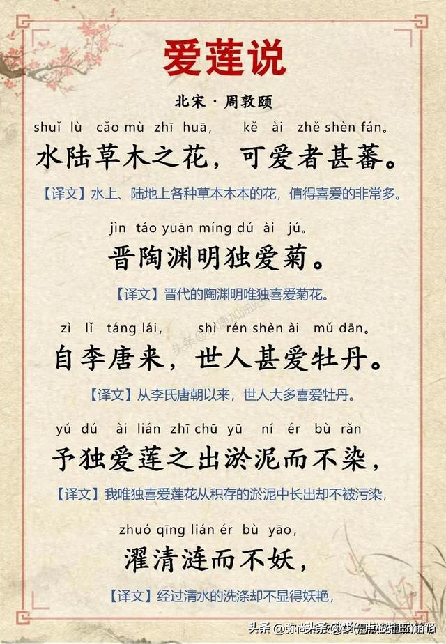 爱莲说原文及翻译拼音爱莲说原文注音及译文(北宋·周敦颐爱莲说全文带拼音译文完整版)