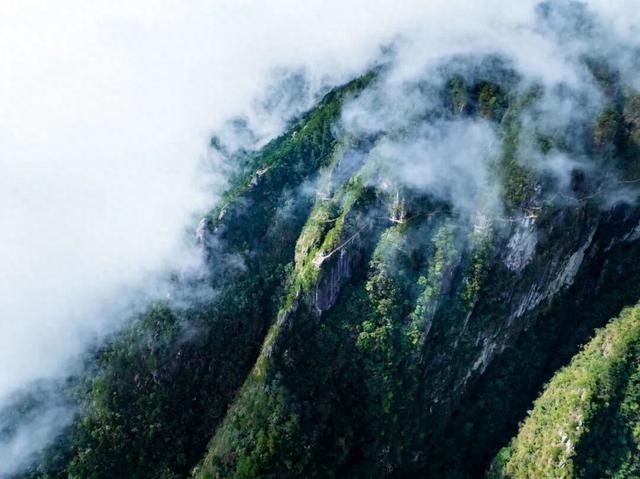 要卷就来明月山卷云海！这里的“心灵SPA”让你满血复活！