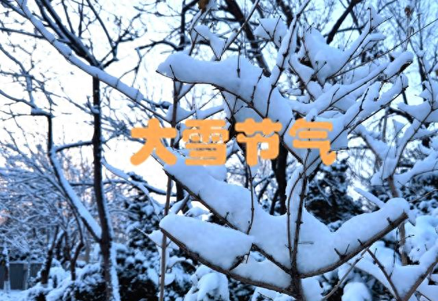 明日大雪节气，记得“吃3样，做1事，忌1事”，平稳越冬身体棒！
