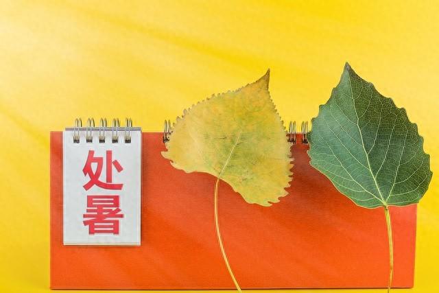今日处暑，老话“冬天冷不冷，就看处暑”，今年冬天到底冷不冷？