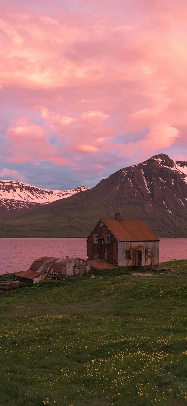 壁纸| 日有小暖，岁有小安