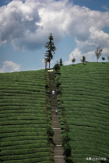 中俄蒙联手激活万里茶道：1.3万公里千年商脉，奏响多通合作华章