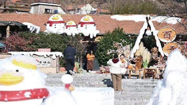 冬游崂山新趣：流清河畔邂逅鸥影，东麦窑里安宿雪屋