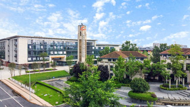 成都大型网站建设（哪吒背后的高新密码 成都高新区以门户网站建设助力营商环境升级）