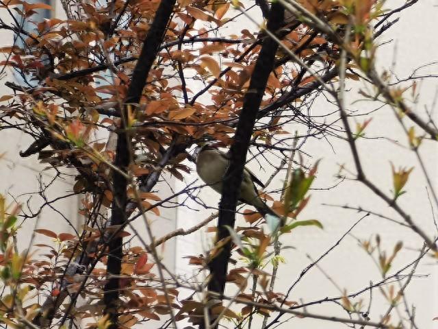 只能共快乐，不能共患难