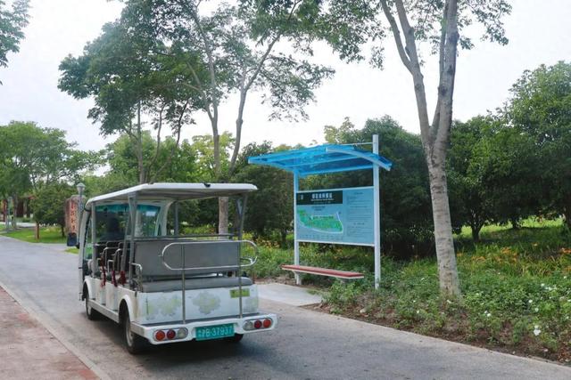 公园游览车新增站点，让游客在绿意中自在穿梭