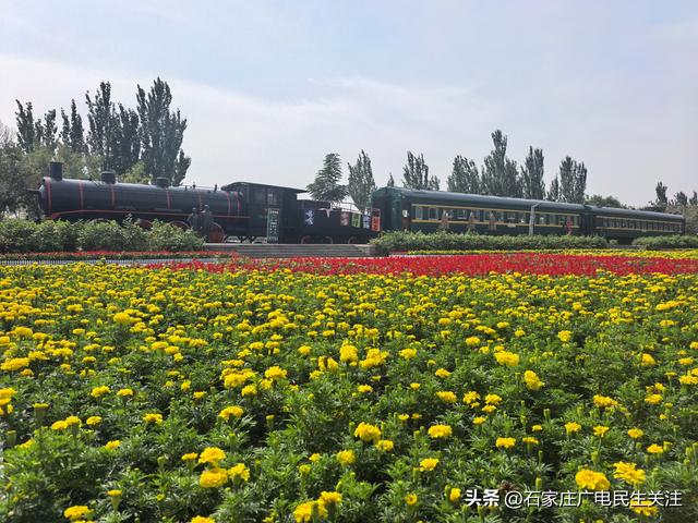 十一漫游滹沱河：乘滹沱河观光线，赴一场河湖与秋风的约会
