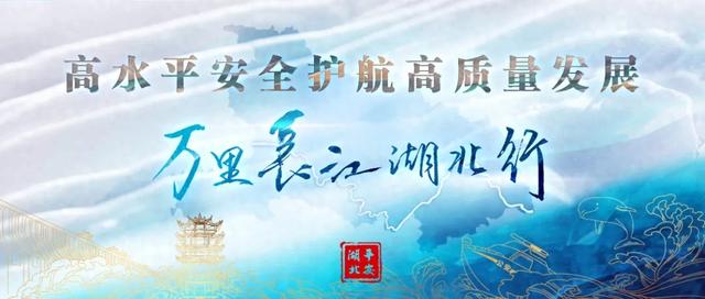 湖北公安 |【万里长江湖北行】鹳䴙䴘鸻鹈鹕鳽鹬鹛鹀䴓鹎，到底怎么读？