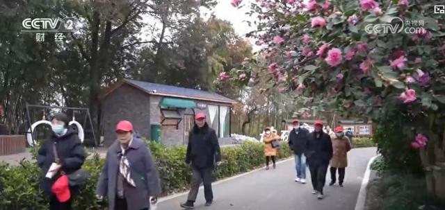 从 “走马观花” 到 “深度慢享”：银发旅游迭代升级 激活新消费场景