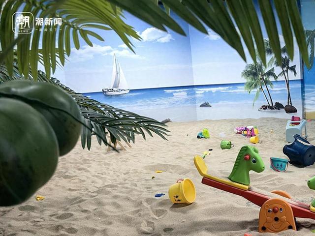 走，赶海去！浙里有一份全龄段的玩法推荐