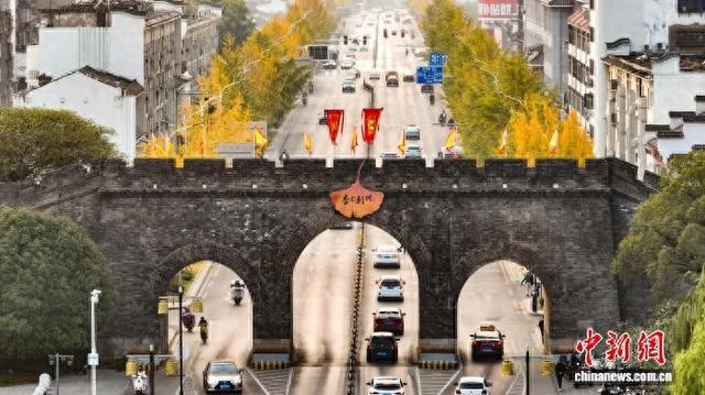 湖北荆州：古城墙下银杏黄 秋意正浓醉游人