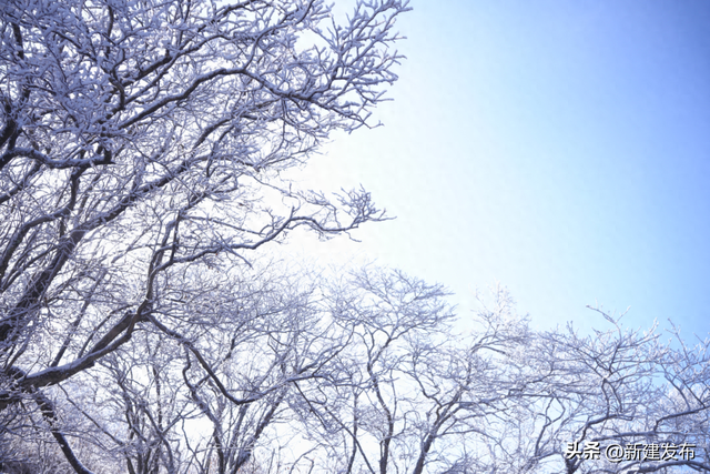 七星岭，冰雪绘仙境